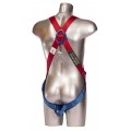 1 Point Harness